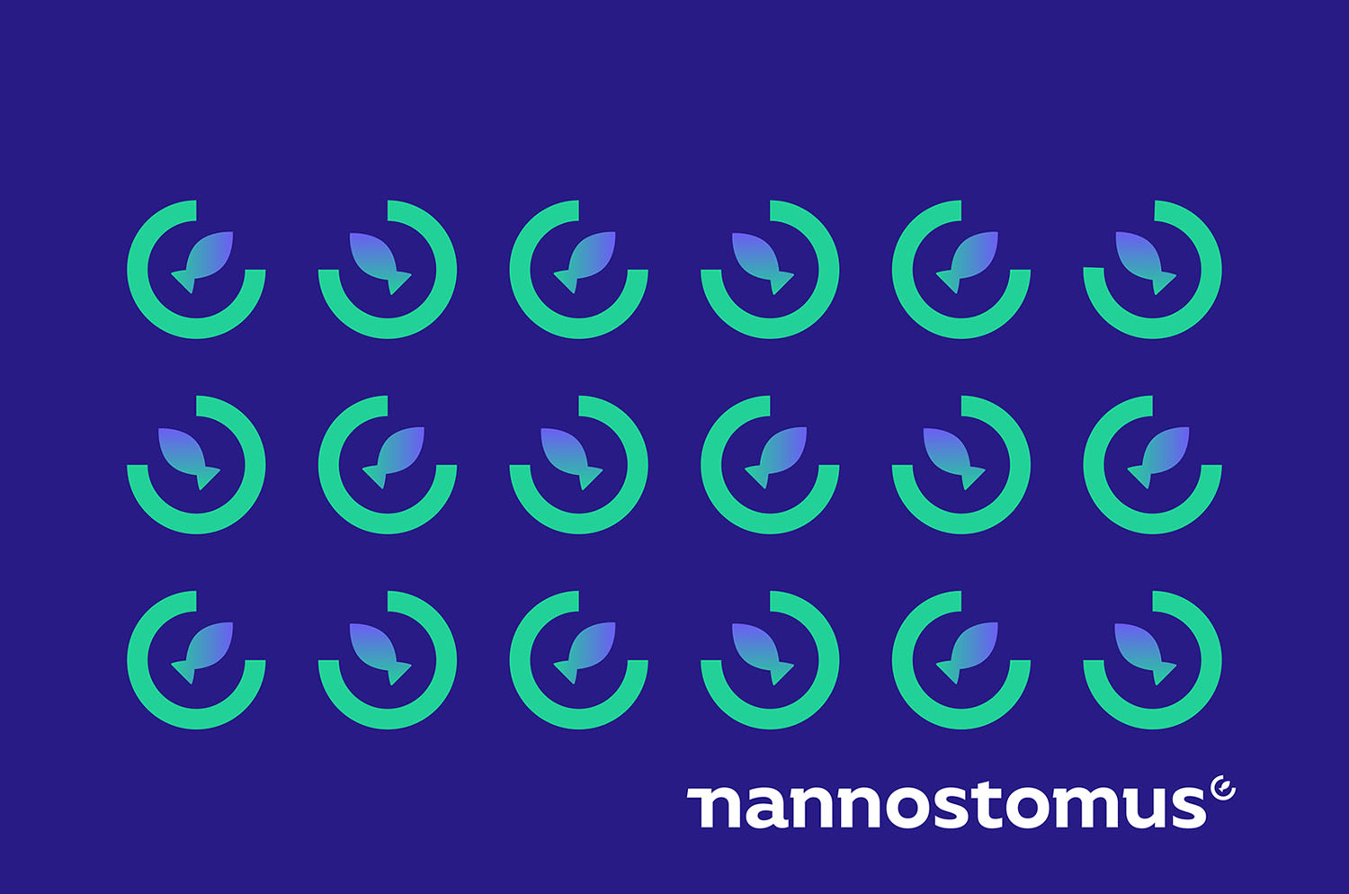 Разработка логотипа nannostomus