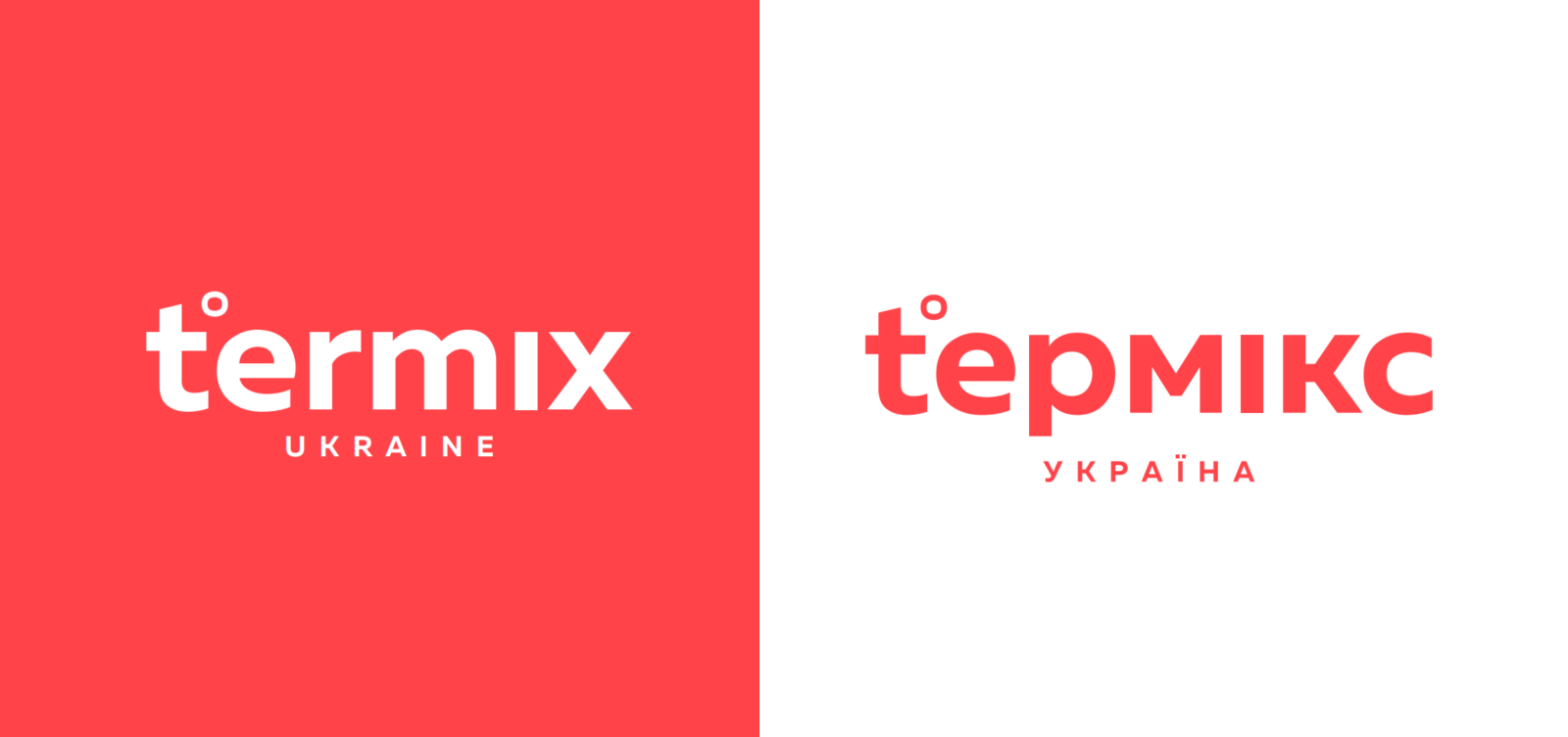 разработать лого термикс