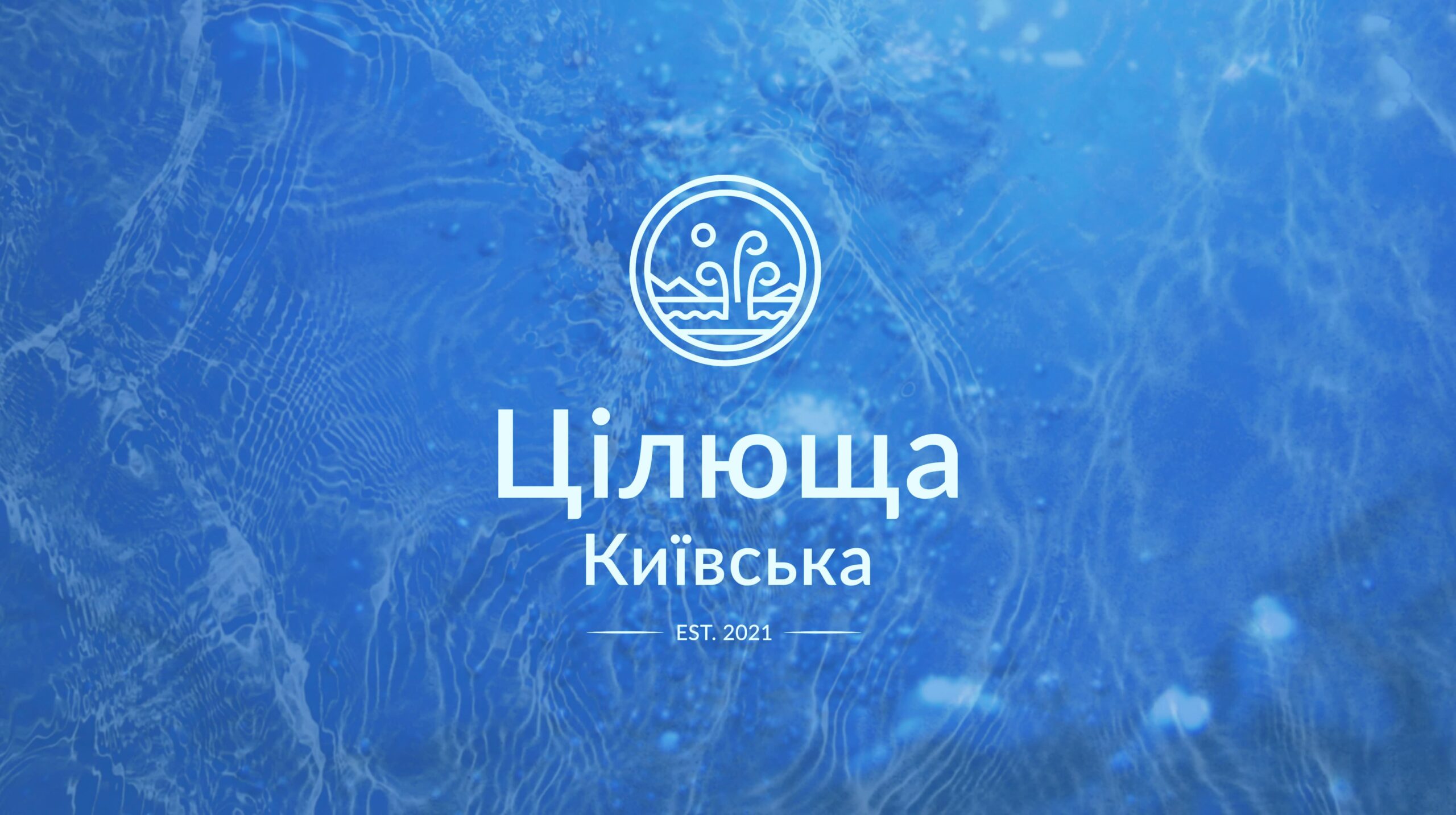 Разработка логотипа Киев