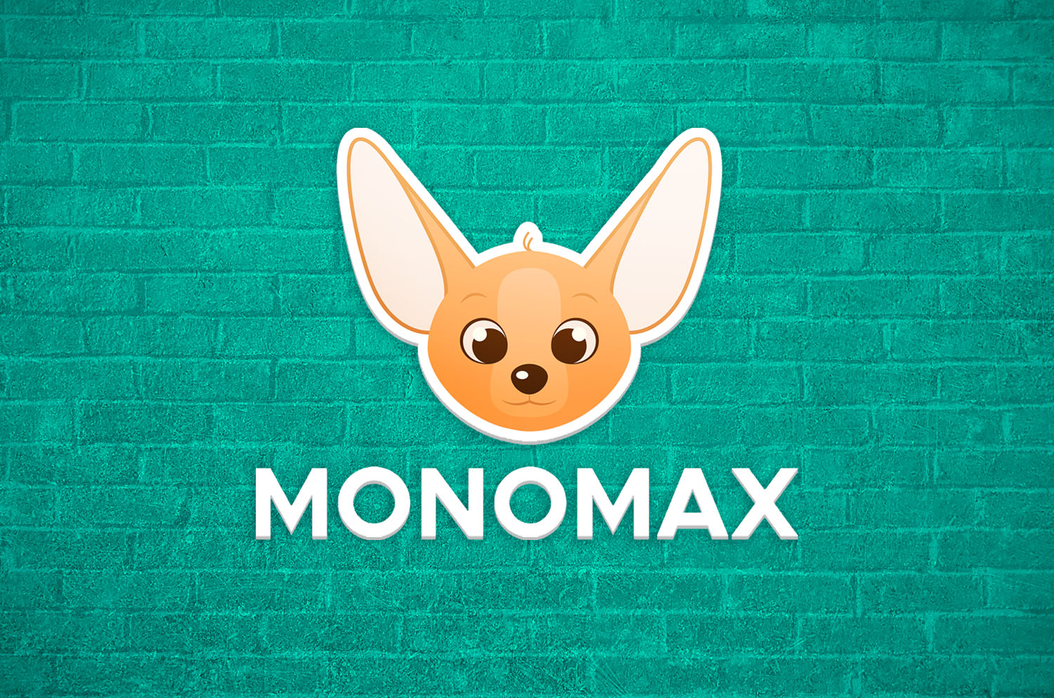 Маркетинг стратегия віхода на рінок monomax